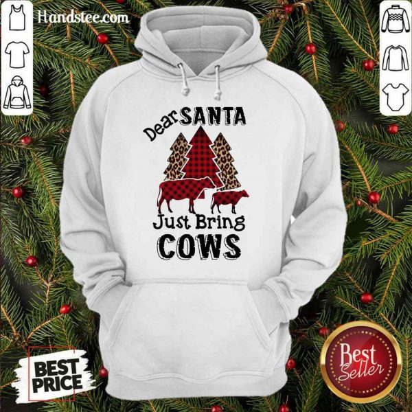 perfect-dear-santa-just-bring-cows-hoodie-600x600-1.jpg