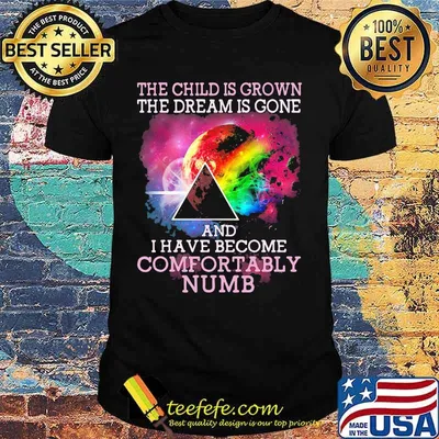 Pink floyd the child is grown the dream is gone i have become comfortably numb shirt