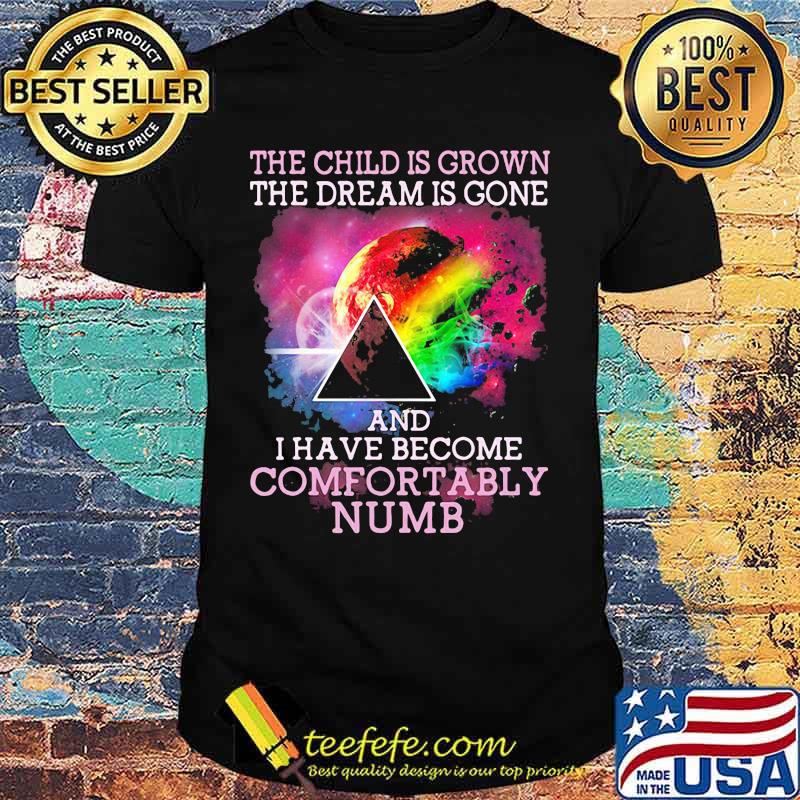 Pink floyd the child is grown the dream is gone i have become comfortably numb shirt