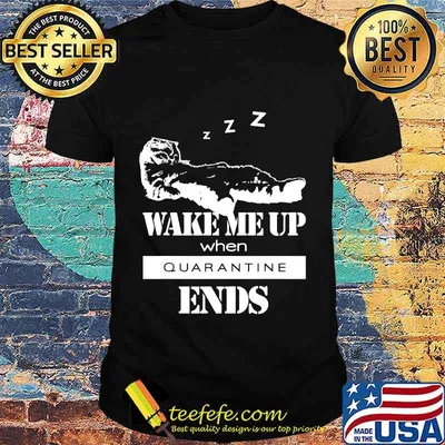 Sleeping cat says wake me up when quarantine ends shirt