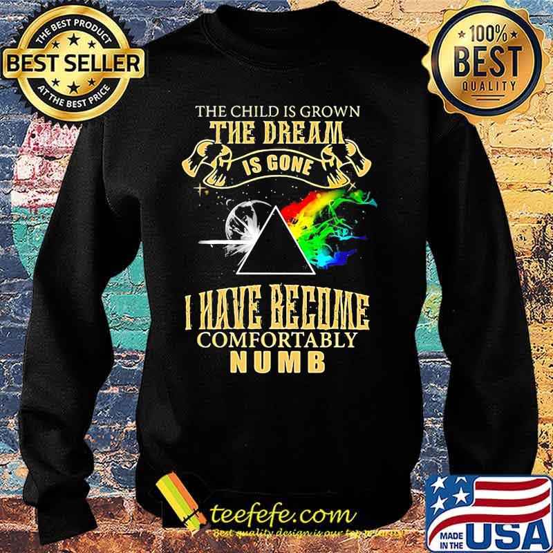 The Child Is Grown The Dream Is Gone I Have Become Comfortably Numb Lgbt Moon Shirt Sweater The Child Is Grown The Dream Is Gone I Have Become Comfortably Numb Lgbt Moon Shirt Sweater