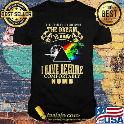 The Child Is Grown The Dream Is Gone I Have Become Comfortably Numb Lgbt Moon Shirt