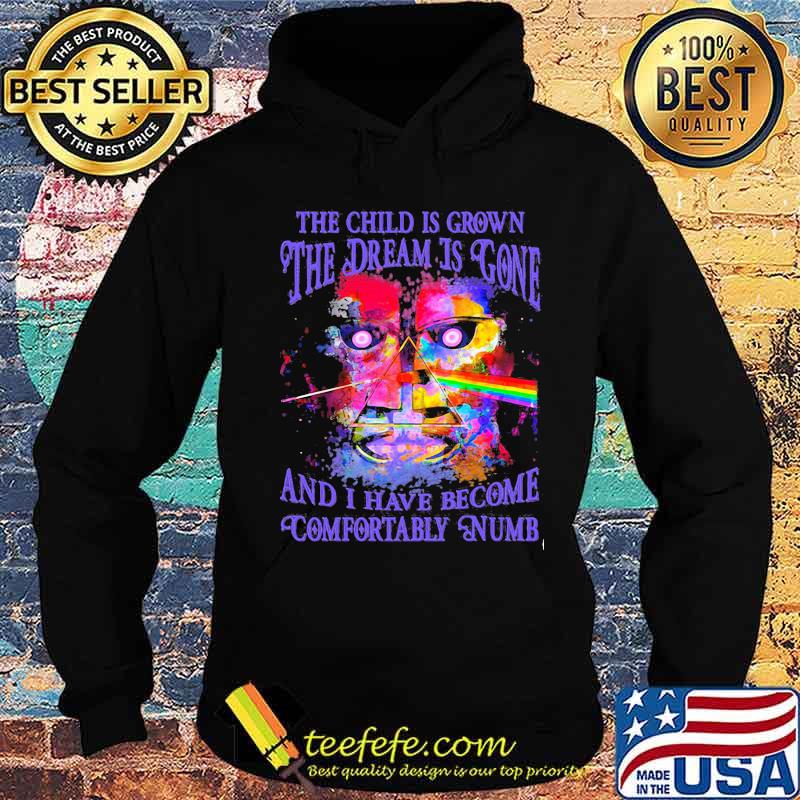 The Child Is Grown The Dream Is Gone I Have Become Comfortably Numb Pink Floyd Shirt Hoodie The Child Is Grown The Dream Is Gone I Have Become Comfortably Numb Pink Floyd Shirt Hoodie