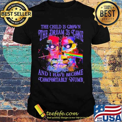 The Child Is Grown The Dream Is Gone I Have Become Comfortably Numb Pink Floyd Shirt
