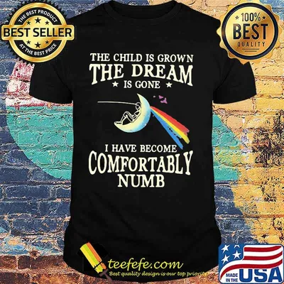 The child is grown the dream is gone i have become comfortably numb pink floyd shirt