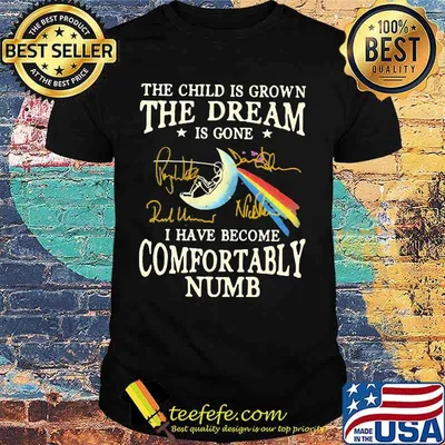 The child is grown the dream is gone i have become comfortably numb pink floyd signatures shirt