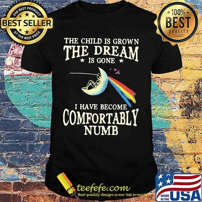 The child is grown the dream is gone i have become comfortably numb shirt
