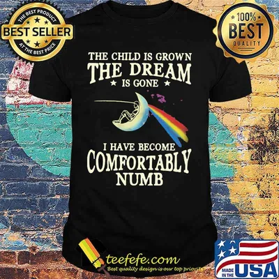The child is grown the dream is gone i have become comfortably numb shirt