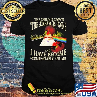 The Wall The The Child Is Grown The Dream Is Gone I Have Become Comfortably Numb Pink Floyd Shirt