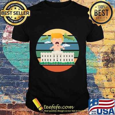 Trump Removal Joe Biden Kamala Harris 2020 Won Retro Sunset Shirt