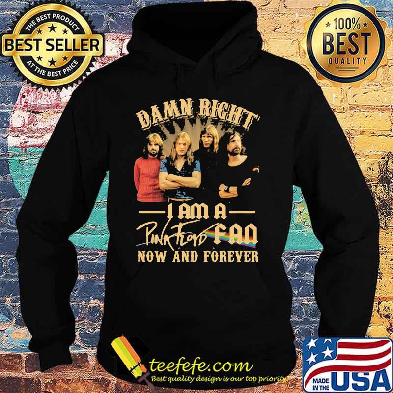 Damn Right I Am A Pink Floyd Fan Now And Forever Lgbt Shirt Hoodie Damn Right I Am A Pink Floyd Fan Now And Forever Lgbt Shirt Hoodie