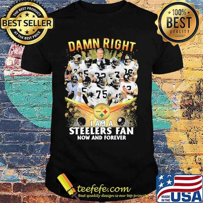 Damn Right I Am A Steelers Fan Now And Forever Football Shirt