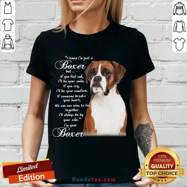 good-i-know-im-just-a-bull-boxer-but-if-you-feel-sad-v-neck-600x600-1.jpg
