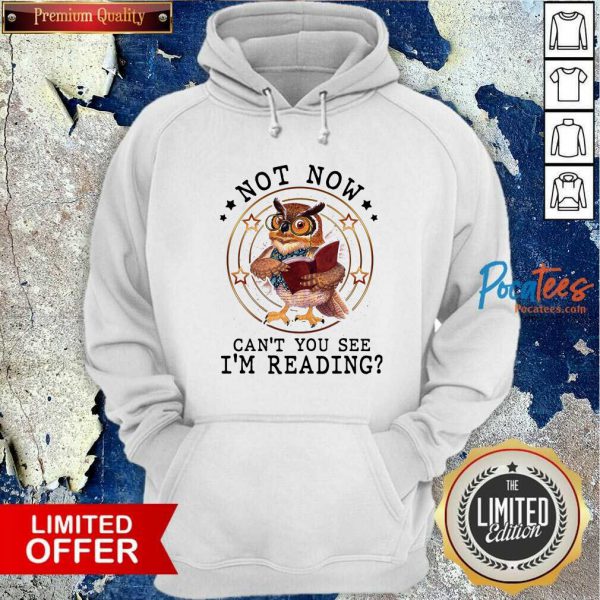 happy-not-now-cant-you-see-im-reading-hoodie-600x600-1.jpg
