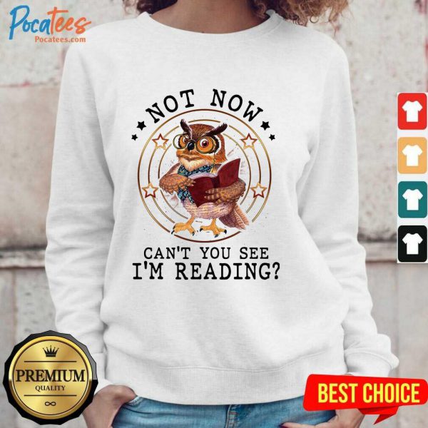 happy-not-now-cant-you-see-im-reading-sweatshirt-600x600-1.jpg
