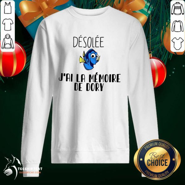 hot-dory-desolee-jai-la-memoire-de-dory-sweatshirt-600x600-1.jpg