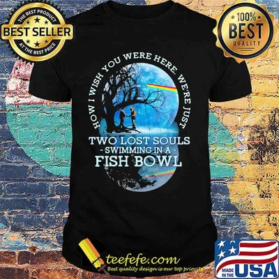 How I Wish You Were Here We’re Just Two Lost Souls Swimming In A Fish Bowl Lgbt Pink Floyd Shirt