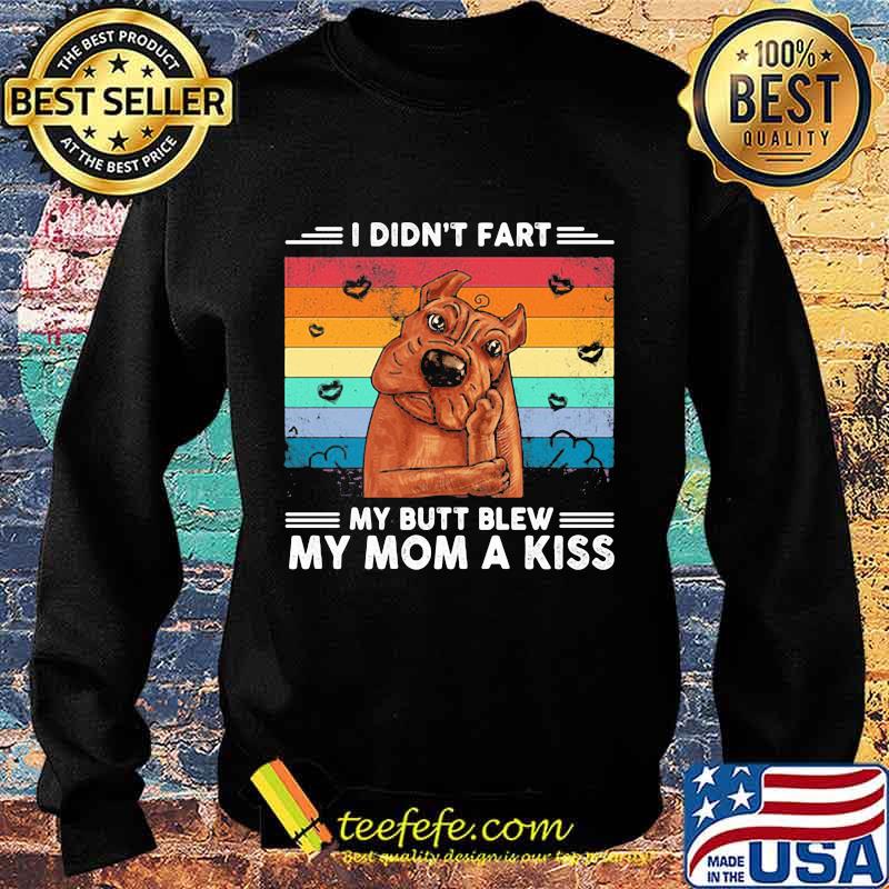 I Did't Fart My Butt Blew My Mom A Kiss Stupid Dog Vintage Shirt Sweater I Did't Fart My Butt Blew My Mom A Kiss Stupid Dog Vintage Shirt Sweater