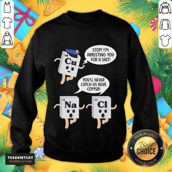 official-cu-stop-im-arresting-you-for-a-salt-na-youll-never-catch-us-alivesweatshirt-600x600-1.jpg