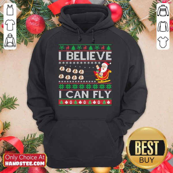 perfect-i-believe-i-can-fly-christmas-gift-hoodie-600x600-1.jpg