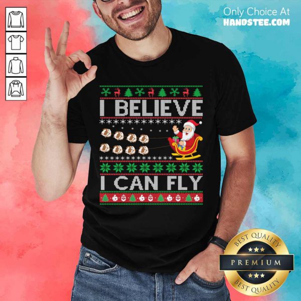 perfect-i-believe-i-can-fly-christmas-gift-shirt-600x600-1.jpg