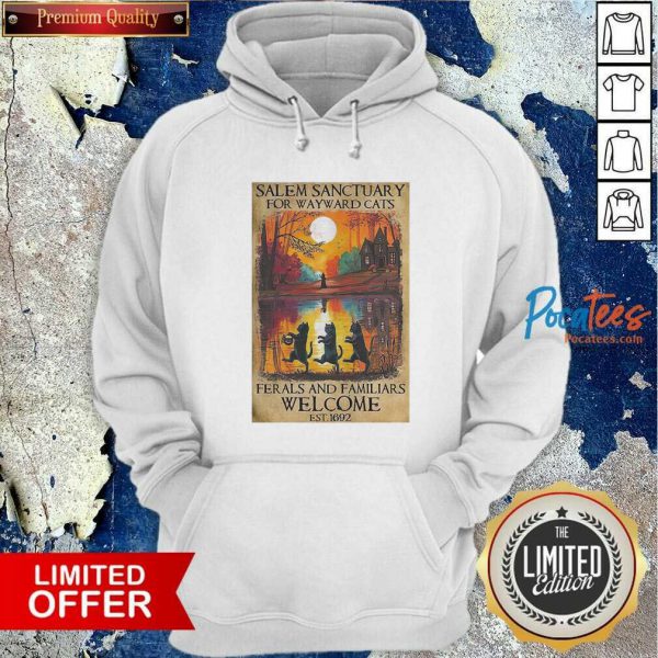 premium-salem-sanctuary-for-wayward-cats-ferals-and-familiars-welcome-est-1692-hoodie-600x600-1.jpg