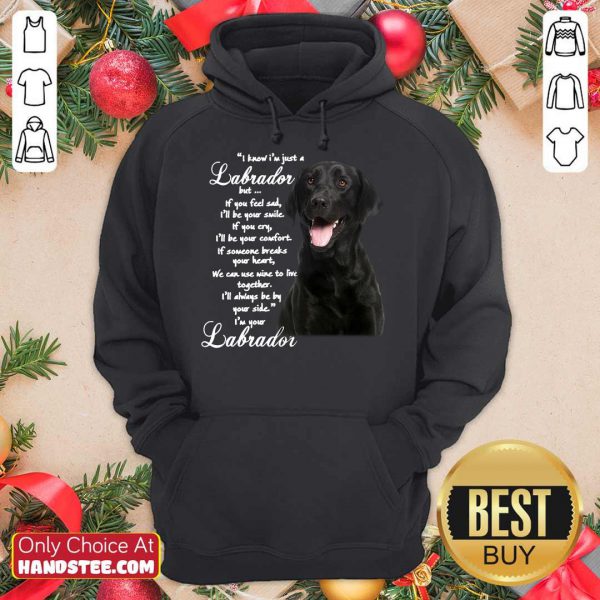 pretty-i-know-im-just-a-labrador-but-if-you-feel-sad-ill-be-your-smile-hoodie-600x600-1.jpg