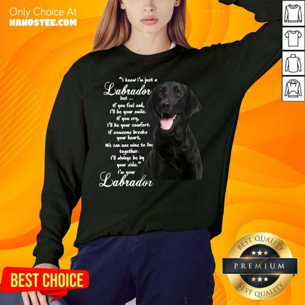 pretty-i-know-im-just-a-labrador-but-if-you-feel-sad-ill-be-your-smile-sweatshirt-600x600-1.jpg