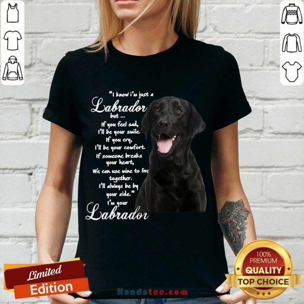 pretty-i-know-im-just-a-labrador-but-if-you-feel-sad-ill-be-your-smile-v-neck-600x600-1.jpg