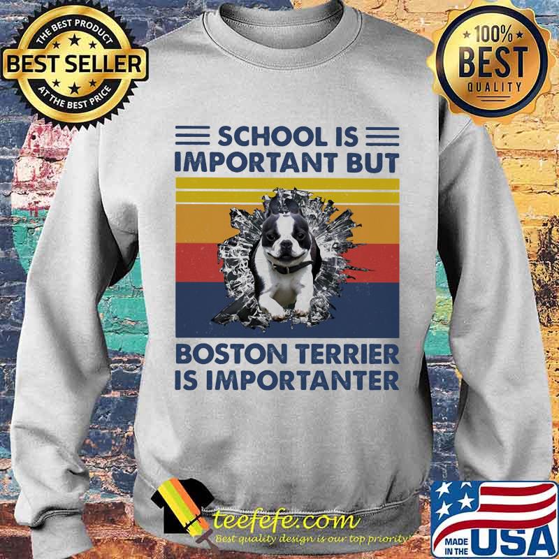 School Is Important But Boston Terrier Is Importanter Dog Vintage Shirt Sweater School Is Important But Boston Terrier Is Importanter Dog Vintage Shirt Sweater