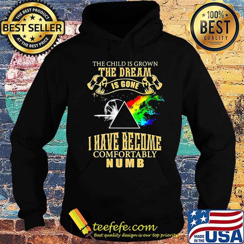 The Child Is Grown The Dream Is Gone I Have Become Comfortably Numb Moon Lgbt Pink Floyd Shirt Hoodie The Child Is Grown The Dream Is Gone I Have Become Comfortably Numb Moon Lgbt Pink Floyd Shirt Hoodie