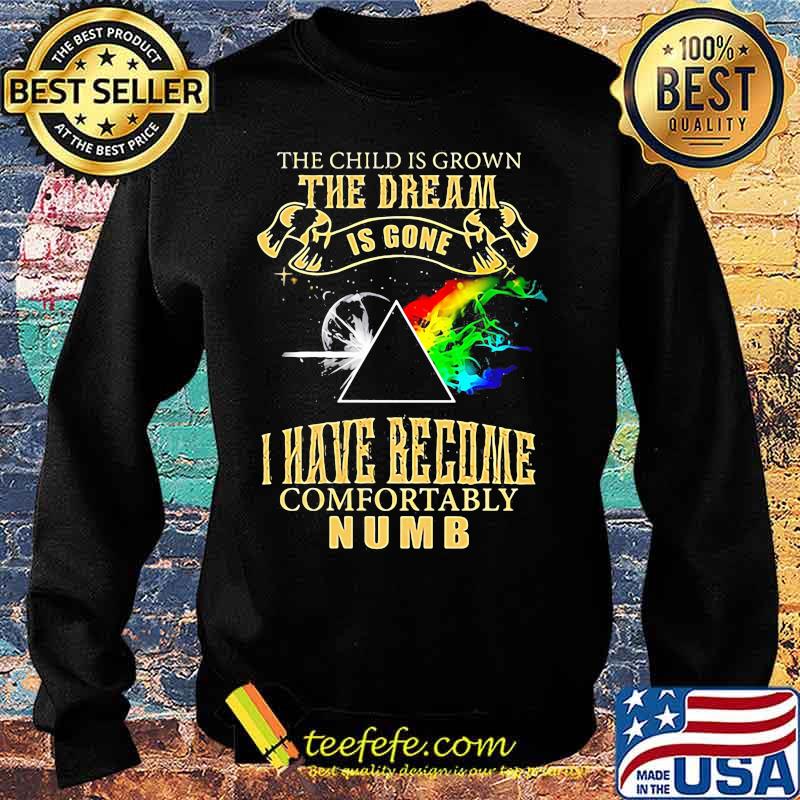 The Child Is Grown The Dream Is Gone I Have Become Comfortably Numb Moon Lgbt Pink Floyd Shirt Sweater The Child Is Grown The Dream Is Gone I Have Become Comfortably Numb Moon Lgbt Pink Floyd Shirt Sweater