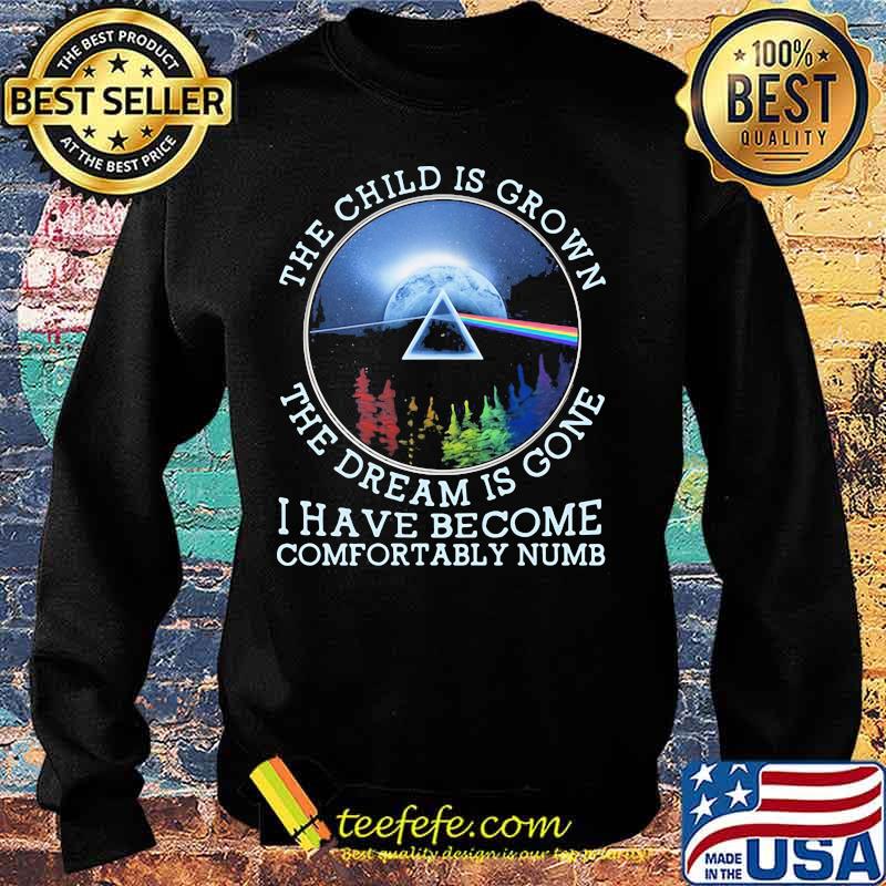 The Child Is Grown The Dream Is Gone I Have Become Comfortably Numb Pink Floyd Lgbt Shirt Sweater The Child Is Grown The Dream Is Gone I Have Become Comfortably Numb Pink Floyd Lgbt Shirt Sweater