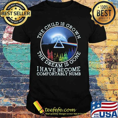 The Child Is Grown The Dream Is Gone I Have Become Comfortably Numb Pink Floyd Lgbt Shirt