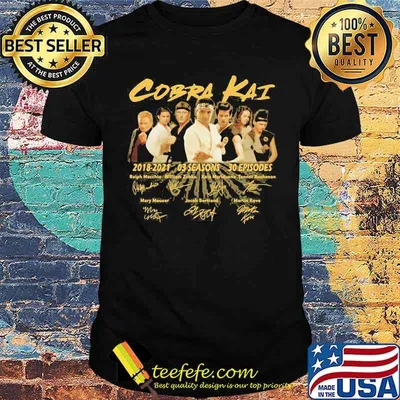 Cobra Kai 2018 2021 Three Seasons Thirty Episodes Signature Shirt