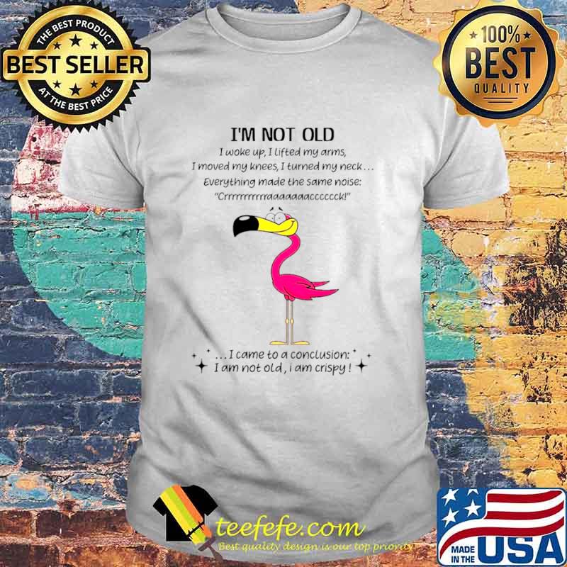 Flamingo Im not old I came to a conclusion shirt