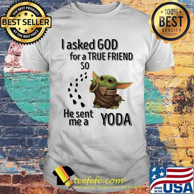 I Asked God For A True Friend So He Sent Me A Yoda Shirt