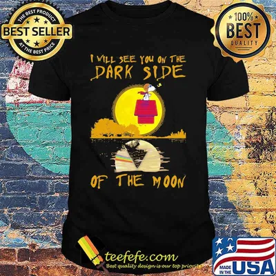 I Will See You On The Dark Side Of The Moon Snoopy Shirt
