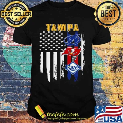 Tampa Sports Lightning Buccaneers And Rays 2021 American Flag shirt