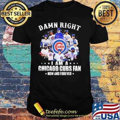 Damn Right I Am A Chicago Cubs Fan Now And Forever Shirt