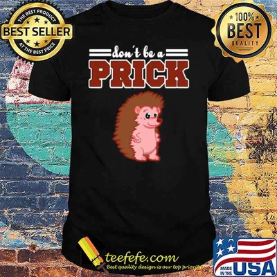Hedgehog Animal Gifts Don’t Be A Prick shirt