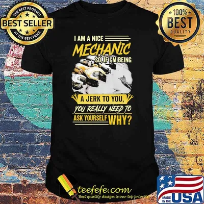I Am A Nice Mechanic So If I Am Being A Jerk To You Really Need To Ask Yourself Why Shirt