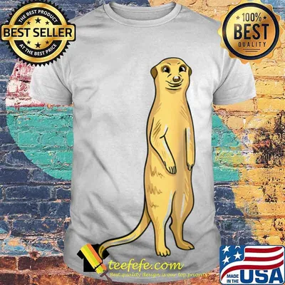 Meerkat Illustration Meerkat Pet Owner shirt
