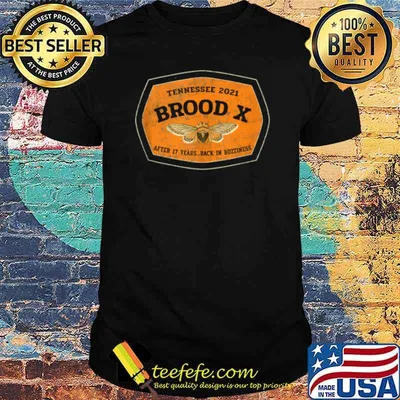 Tennessee 2021 Great Eastern Brood X Cicada ReEmergence shirt