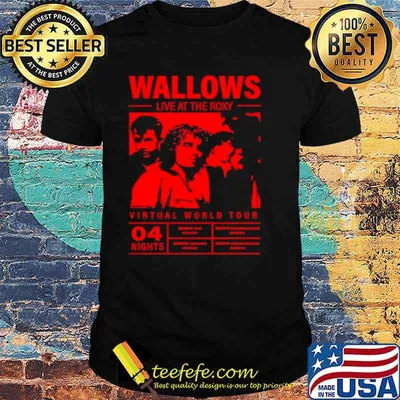 Wallows live at the roxy virtual world tour shirt