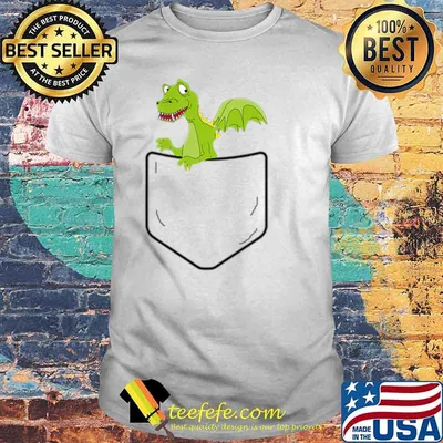 Cool Dragon in Your Pocket Funny Dragons Lover Gift Shirt