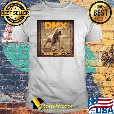 DMX 1970 RIP 2021 Shirt