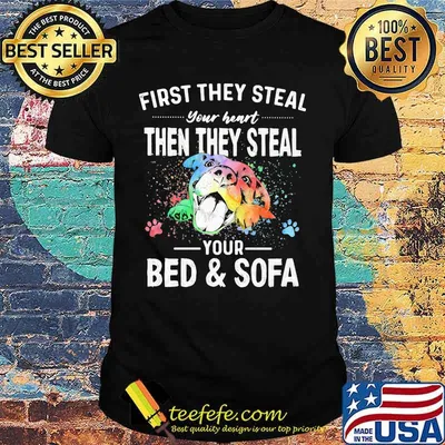 First THey Steal Your Heart Then THey Steal Your Bed And Sofa Dog Watercolor Shirt