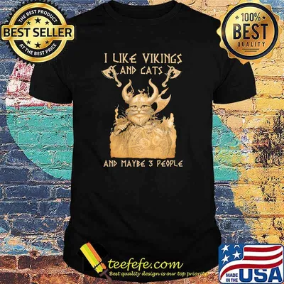 I Like Vikings And Cats And Maybe 3 People Shirt