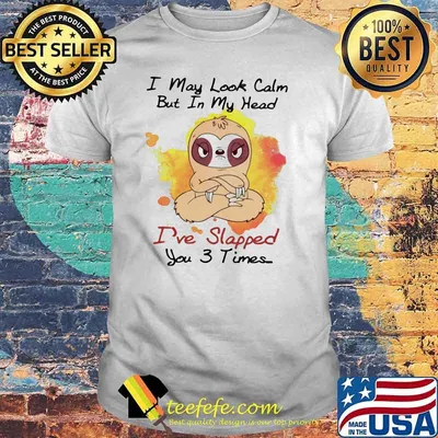 I May Look Calm But In My Head I've Slapped You 3 Times Sloth Shirt